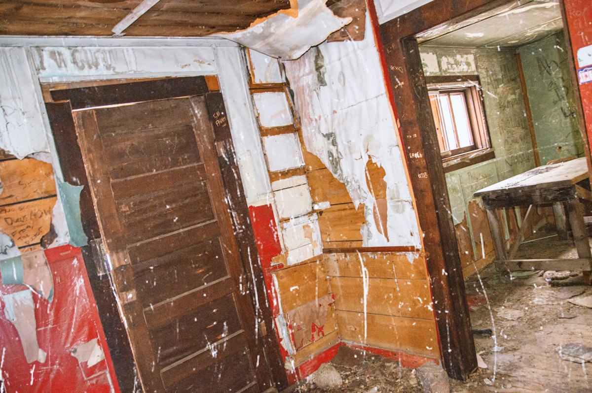 Mold Remediation service in Syracuse, NY